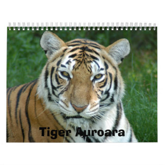Tiger_Aroara012のトラAuroara カレンダー