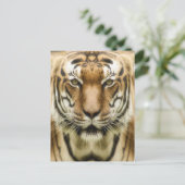 Tiger Closeupはがき ポストカード (スタンド正面)