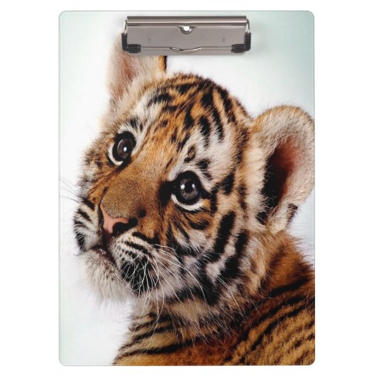 Tiger Cub/クリップボード クリップボード (正面)