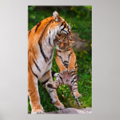 Tiger Cub ポスター (正面)