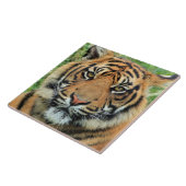 Tiger Cub Portrait タイル (側面)