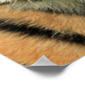 Tiger Cub Portrait ポスター (角)