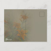 Tiger "Day" Lilies ポストカード (裏面)