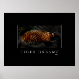 Tiger Dreamsポスター ポスター