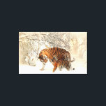 Tiger Family in Winter Landscape Canvas Print キャンバスプリント<br><div class="desc">冬の風景の中のタイガーファミリーのキャンバス印刷。</div>