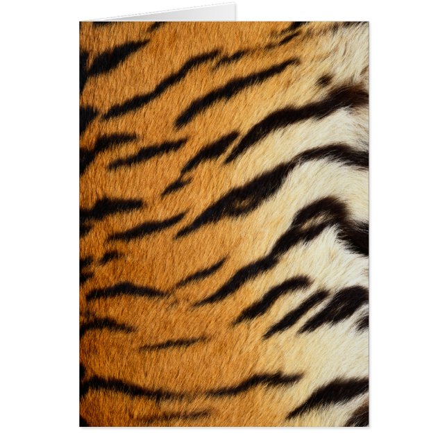 Tiger Fur Wildlife Cardsシリーズ (正面)