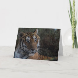Tiger Greeting Card-Tarjeta Tigre felicitacion カード