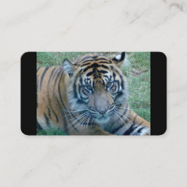 Tiger image名刺 名刺