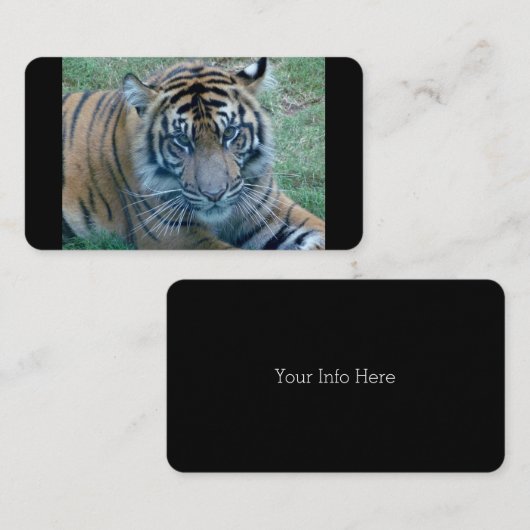 Tiger image名刺 名刺 (正面/裏面)