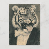Tiger in a Tux Collage ポストカード (正面)
