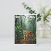 Tiger in Dehing Patkai国立公園インド旅行 ポストカード (スタンド正面)