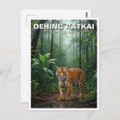 Tiger in Dehing Patkai国立公園インド旅行 ポストカード (正面/裏面)