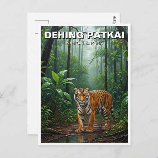 Tiger in Dehing Patkai国立公園インド旅行 ポストカード (正面/裏面)
