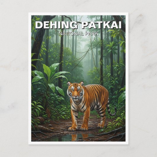 Tiger in Dehing Patkai国立公園インド旅行 ポストカード (正面)