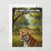 Tiger in Jim Corbett National Park ポストカード (正面/裏面)