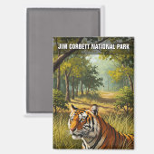 Tiger in Jim Corbett National Park マグネット (正面/裏面)