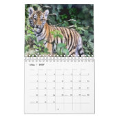 Tiger in Rot als Kalender カレンダー (3月 2027)