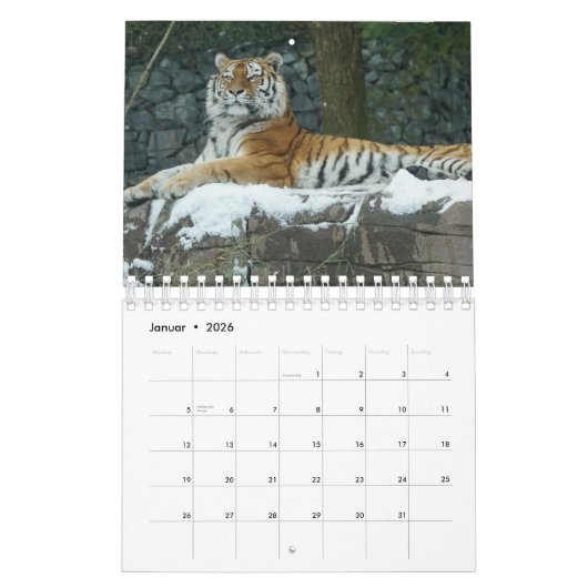 Tiger in Rot als Kalender カレンダー (1月 2026)