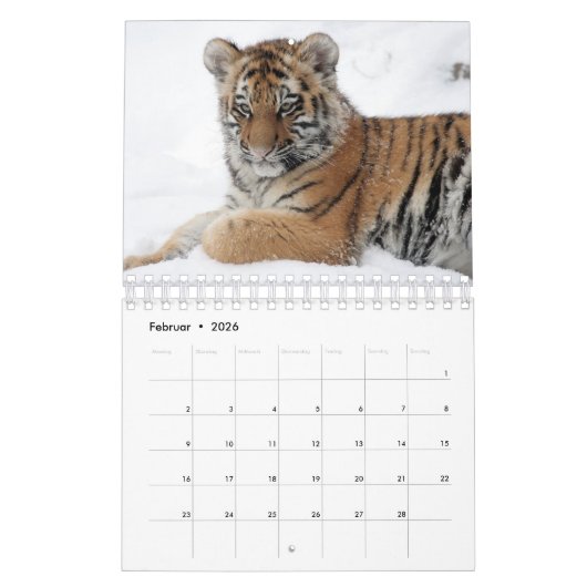 Tiger in Rot als Kalender カレンダー (2月 2026)