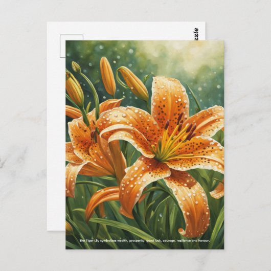 Tiger Lily Symbolism ポストカード (正面/裏面)