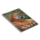 TIger Lounging on Grass Notebook ノートブック (右側)