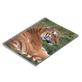 TIger Lounging on Grass Notebook ノートブック (左側)