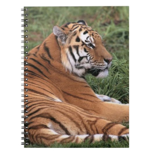 TIger Lounging on Grass Notebook ノートブック (正面)