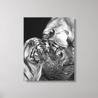 Tiger Love Photo on Canvas Wrap キャンバスプリント