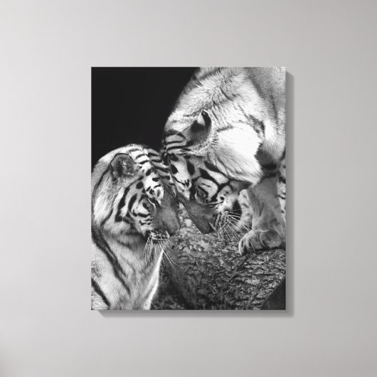 Tiger Love Photo on Canvas Wrap キャンバスプリント (正面)