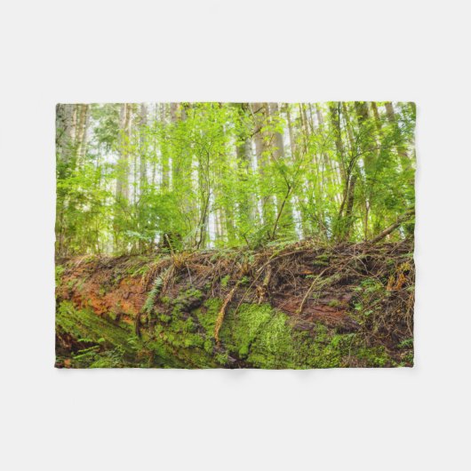Tiger Mountain | Issaquah, Washington State フリースブランケット (正面(横))