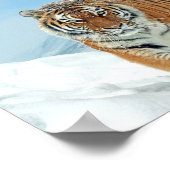 Tiger Mountains Winter Nature Photo Snow Print ポスター (角)