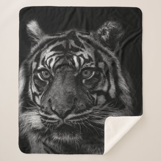 TIGER PORTRAIT IN BW シェルパブランケット (正面)