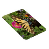Tiger Swallowtail Butterfly 3"x4" Magnet マグネット (右側)