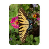 Tiger Swallowtail Butterfly 3"x4" Magnet マグネット (縦)