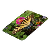 Tiger Swallowtail Butterfly 3"x4" Magnet マグネット (左側)