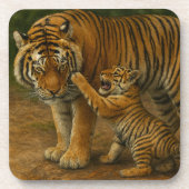 Tiger Tenderness - Parent and Cub in Forest コースター (正面)