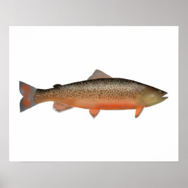 Tiger Trout ポスター