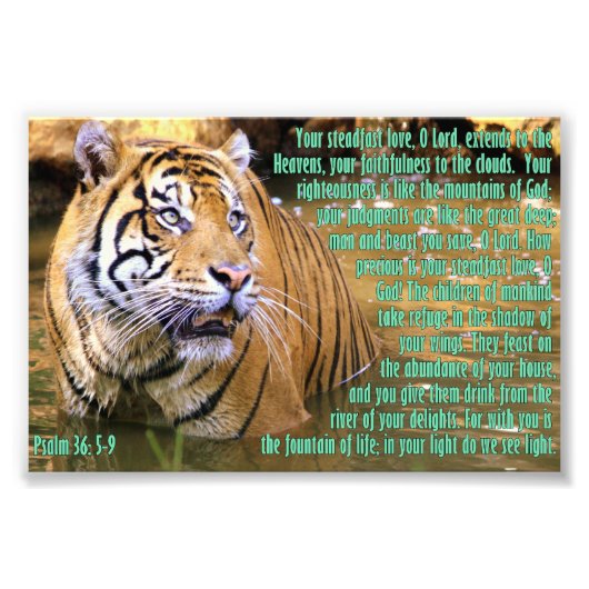 Tiger with Psalm 36:5-9 フォトプリント (正面)