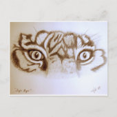 Tigereyes ポストカード (正面)