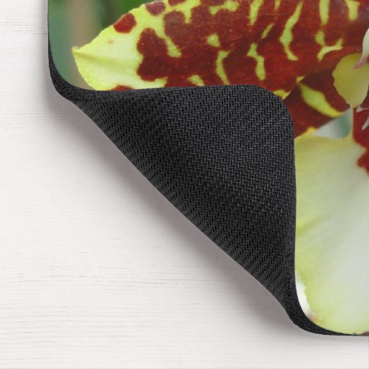 tigerorchid マウスパッド (コーナー)