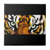 TIGER'S EYE タイル (正面)