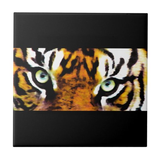 TIGER'S EYE タイル (正面)