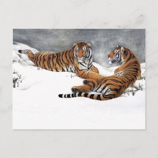 Tigers in the snow, クラシカル Art中国の ポストカード (正面)