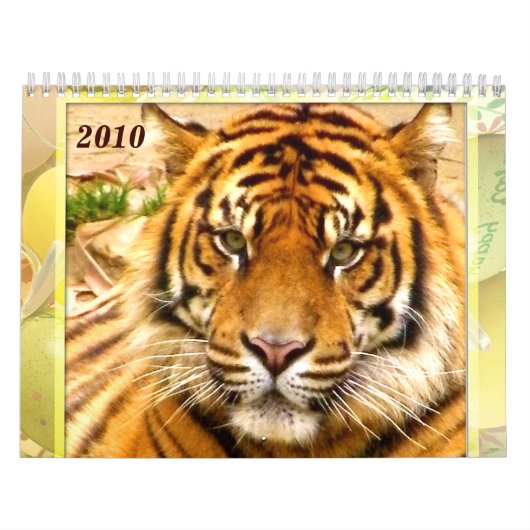 Tiger's & Lion's Expression_2010カレンダー カレンダー (カバー)
