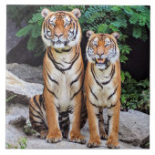 Tigers, male and female, タイル (正面)