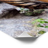 Tigers, male and female, ポスター (コーナー)