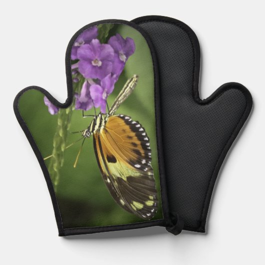 Tigerwing Butterfly  鍋つかみ (正面/裏面)