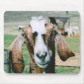 tigger マウスパッド (正面)