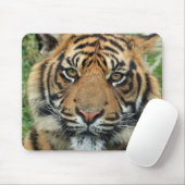 Tigre Tapis de souris マウスパッド (マウス)
