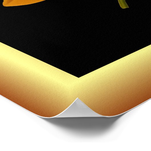 Tigridia Conchiplora Var Canariensis ～植物学 ポスター (角)